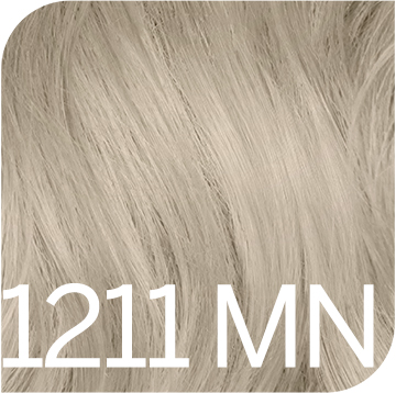 1211 MN