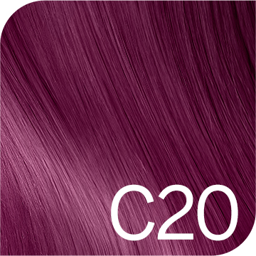 C20