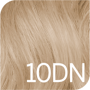 10 dn